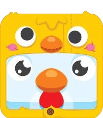 Chick Chicken blook