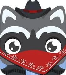 Raccoon Bandit blook