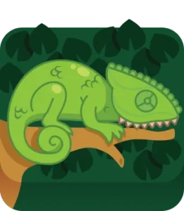 Chameleon Blook in Blooket