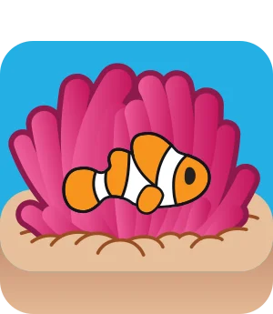 Clownfish blook