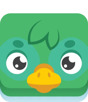 Duck blook