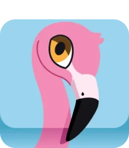 Flamingo Blook in Blooket