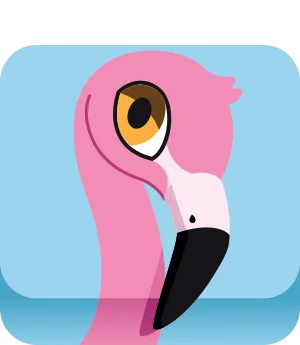 Flamingo blook