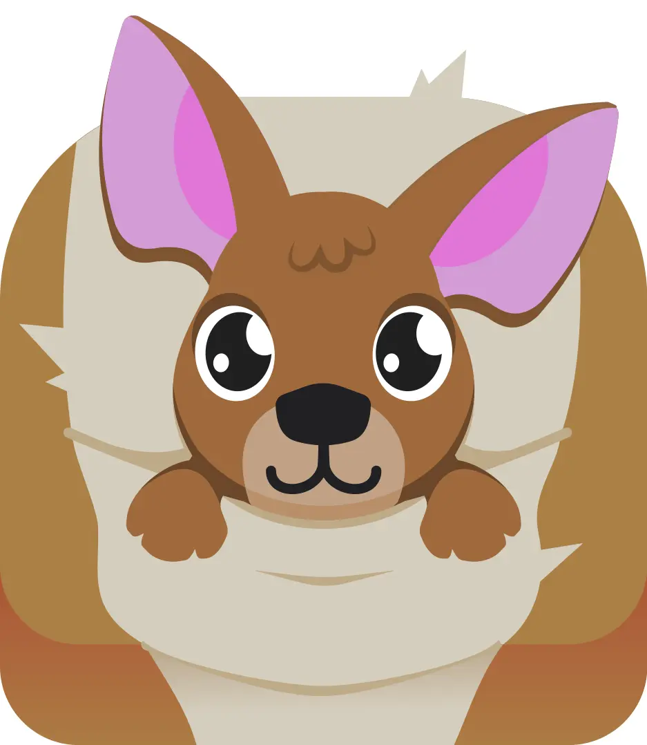 Joey blook