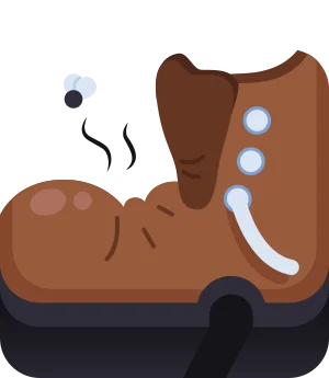 Old Boot blook