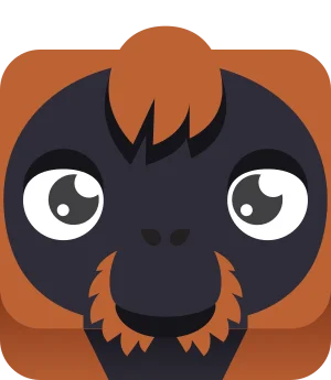 Orangutan blook