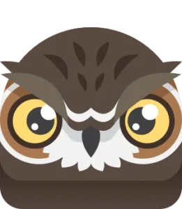 Owl Blook in Blooket
