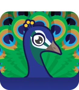 Peacock Blook in Blooket