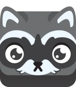 Raccoon Blook in Blooket