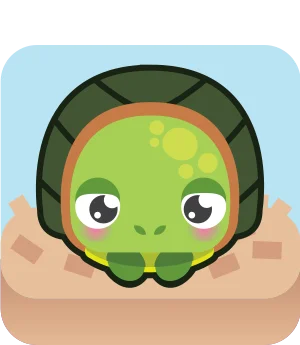Turtle blook